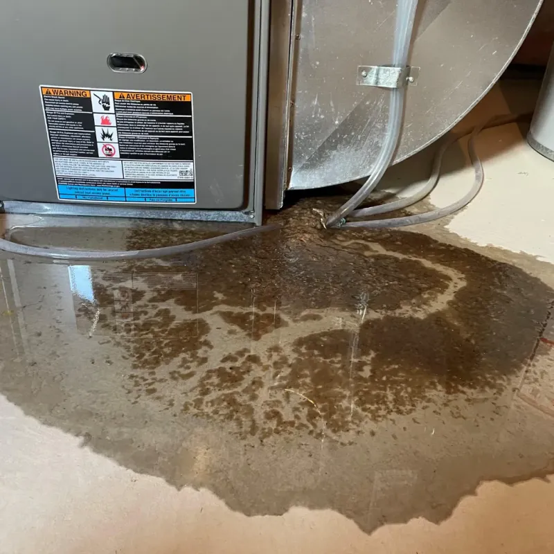 Appliance Leak Cleanup in Elon, NC